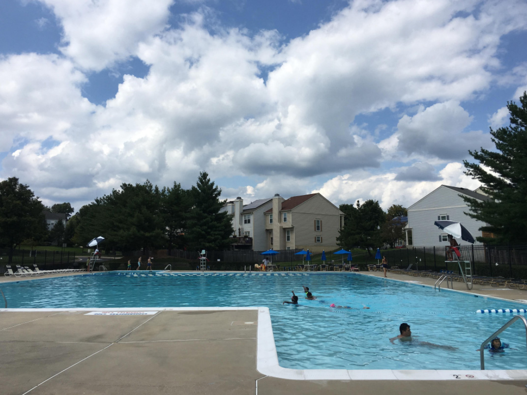 JSSA's Specialized Employment services partnered with RSV Pools in Maryland to create a summer jobs program for students with autism.